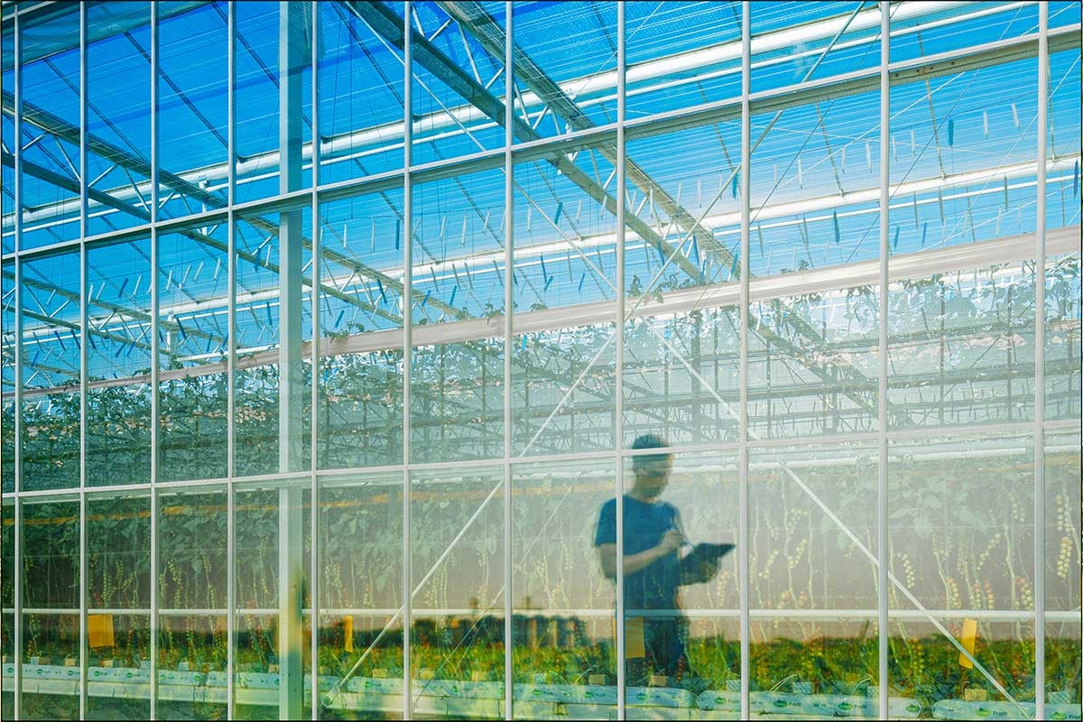 Close-up of a high-tech greenhouse with crops visible through the windows, and a man walking inside using a tablet, under a bright blue sky..