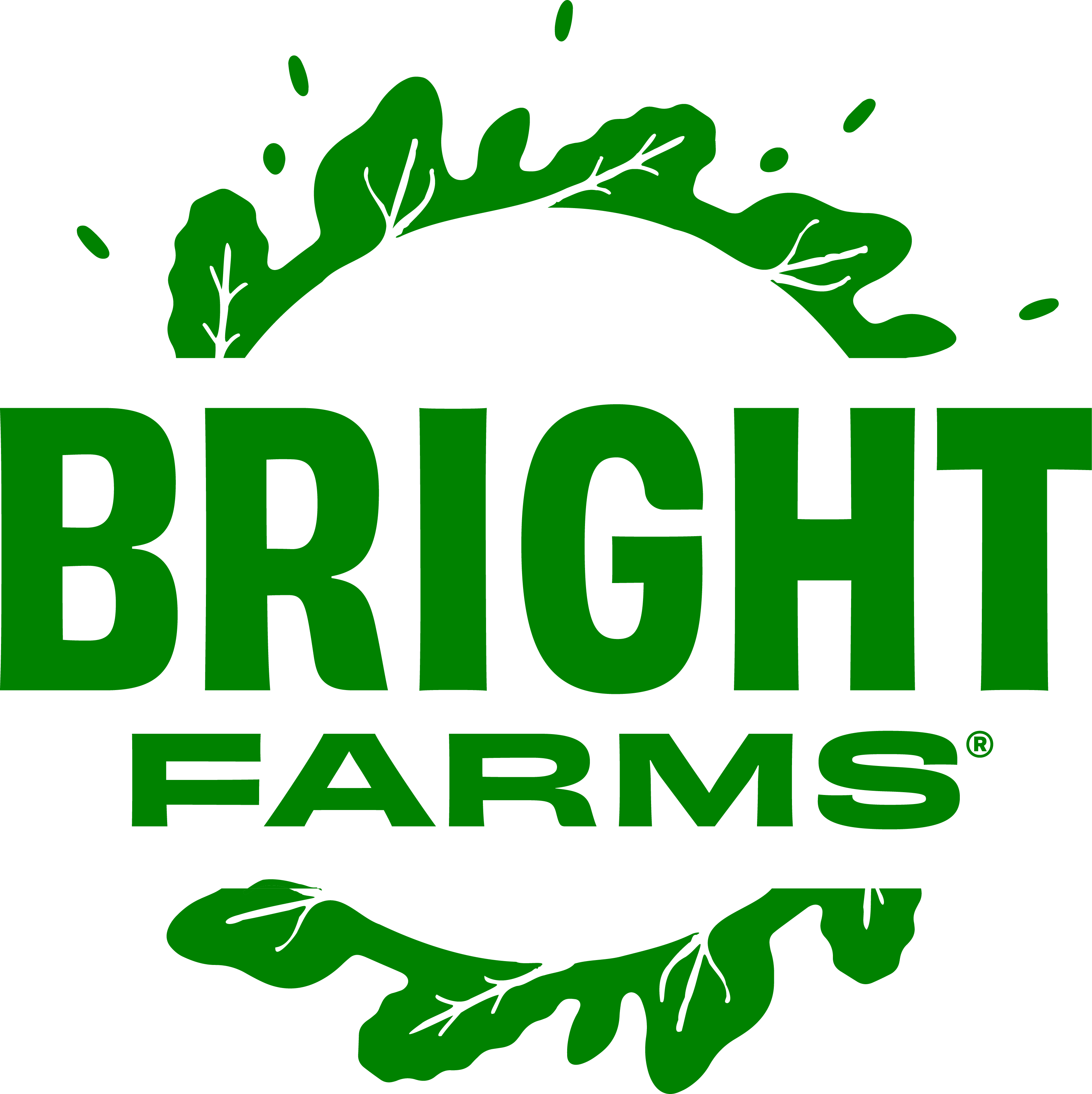 logo-bright-farms