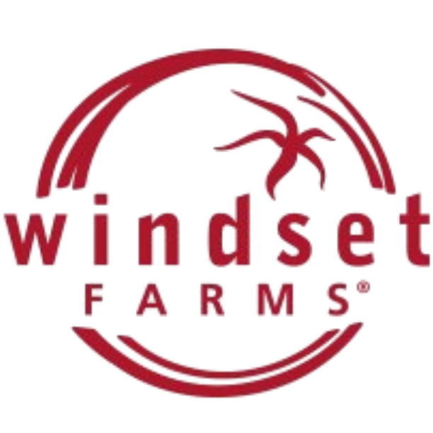 logo windset