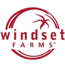 logo-windset