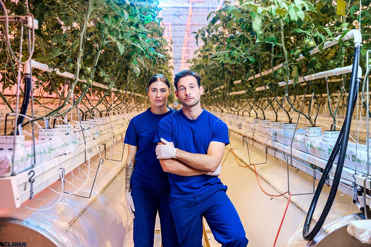 Two individuals standing in a large agricultural greenhouse. They are both wearing blue uniforms and appear to be workers or researchers. The greenhouse has rows of plants, and there are various pieces of equipment in the background.